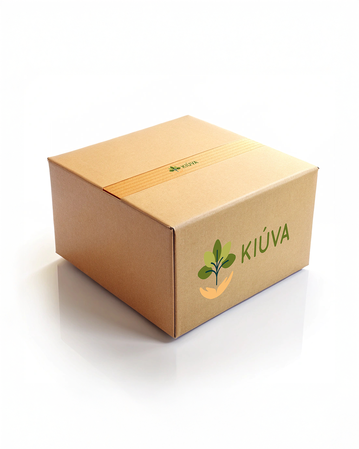 Caja  – Plátano chip con chile 70g